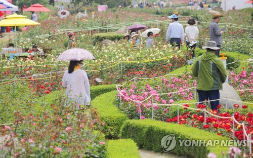 Parc de roses à Samcheok