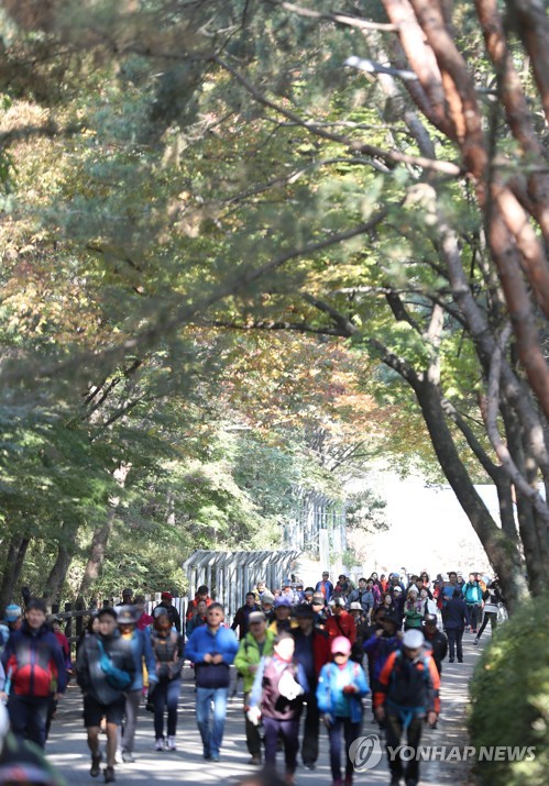 いよいよ秋の紅葉シーズン