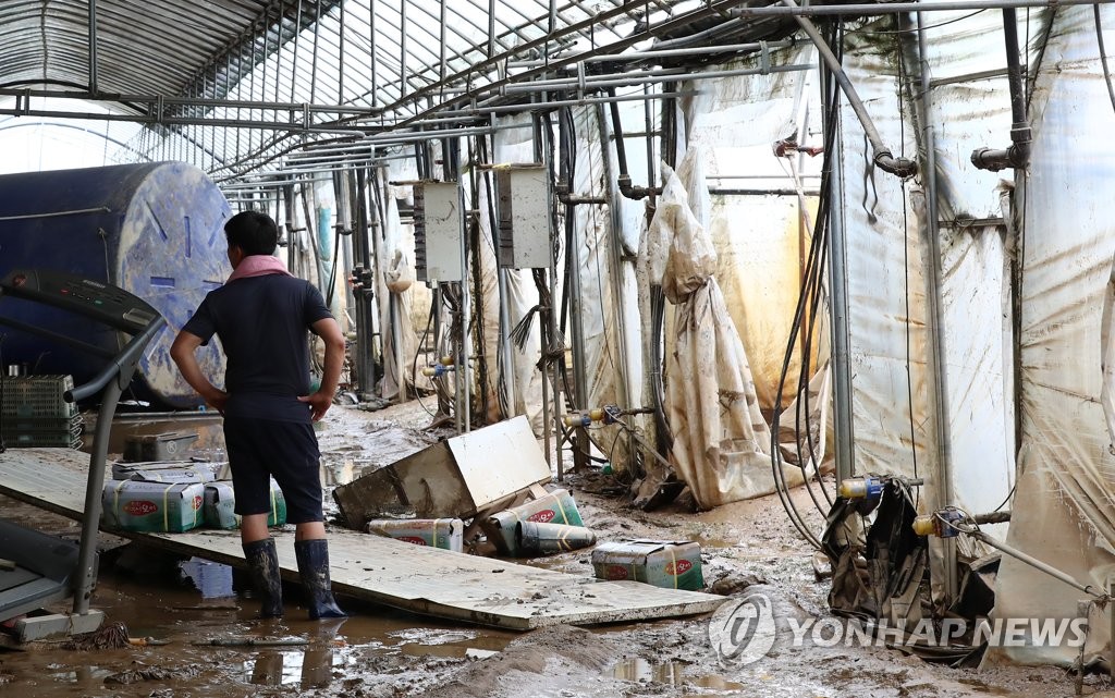 A farmer examines the damage at an agricultural facility in Cheonan, South Chungcheong Province, on Aug. 4, 2020. (Yonhap)