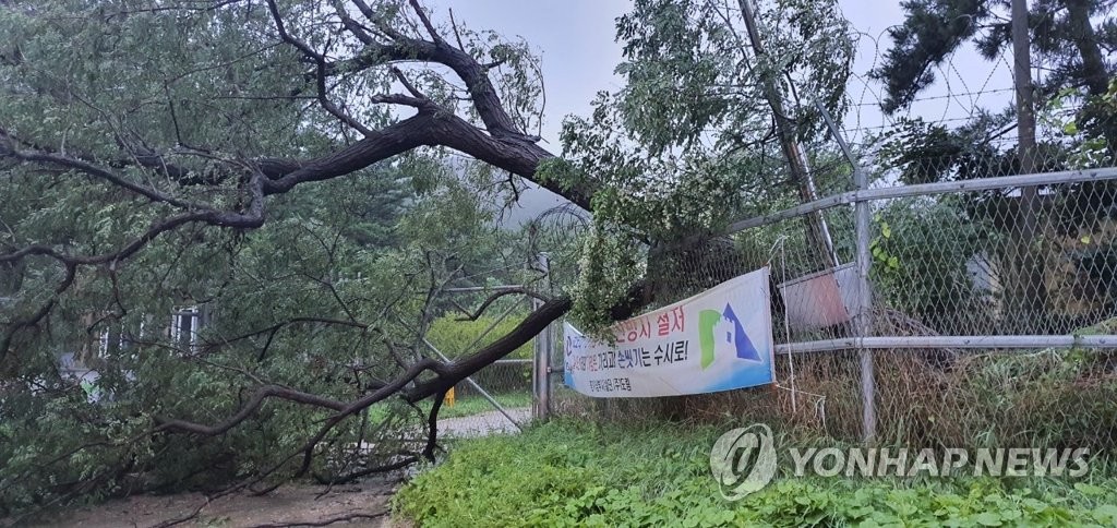 台風８号で南部中心に被害　施設破損や停電＝韓国　