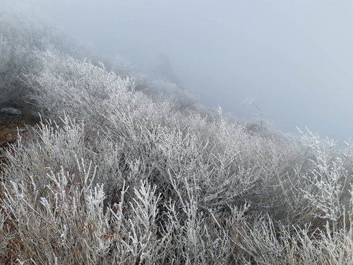 경남 올가을 최저 기온…거창 영하 5도(종합) | 연합뉴스