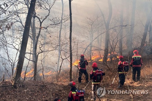 강원도 산불방지대책본부 가동…예방·초기진화 체계 강화
