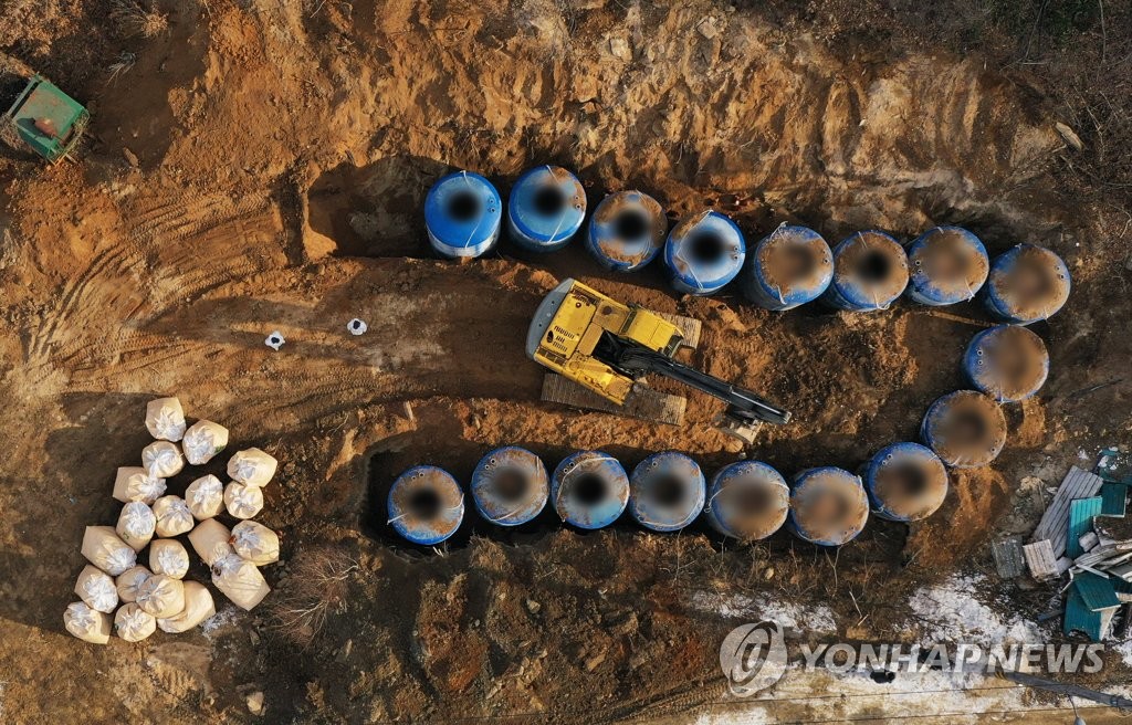 Officials cull birds at an egg farm in Yongin, just south of Seoul, on Jan. 21, 2021. (Yonhap)