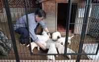 문 대통령, 북한에서 온 풍산개 '곰이' 새끼 공개