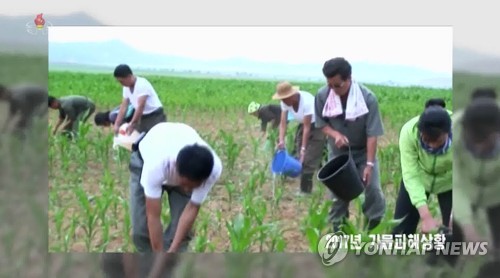 북한, 4년 전 가뭄 되풀이될까 노심초사…"농사 운명 결정하는 시기"