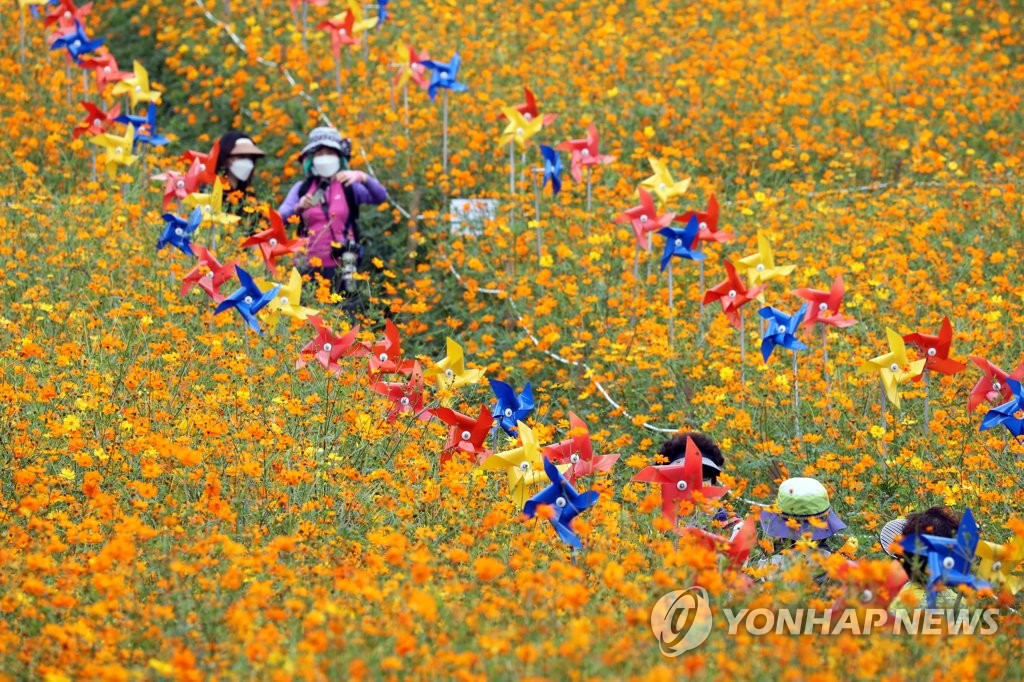 절기상 추분'…가을이 오는 풍경 | 연합뉴스