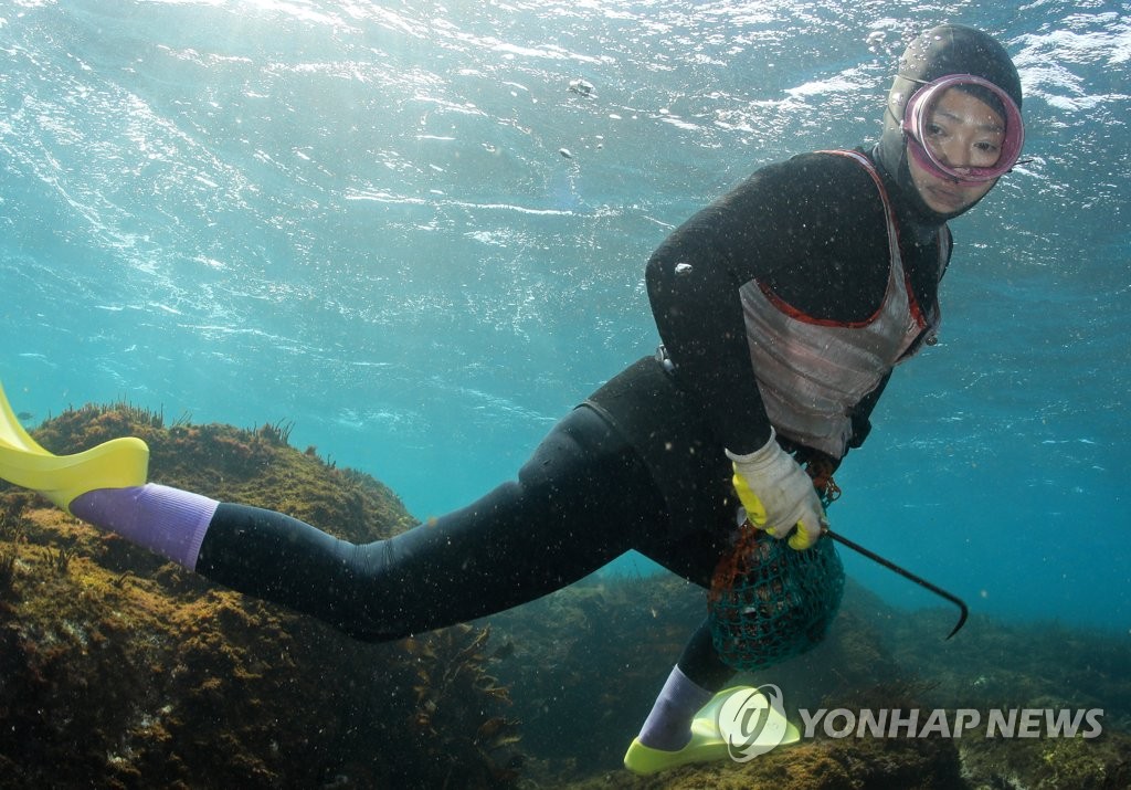 Esta fotografía de archivo sin fecha muestra una "haenyeo," Buceadoras que se ganan la vida recolectando mariscos a mano del fondo del océano sin equipo de respiración en la isla de Jeju, en el sur de Corea del Sur.  (Yonhap)