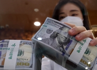 韓国の外貨準備高が９４億ドル減　リーマン後に次ぐ減少幅