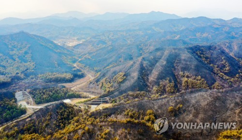장마 닥쳤는데…대형 산불 난 울진 산사태 등 2차 피해 우려