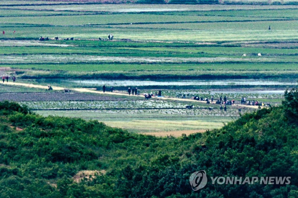 농사일하는 북한 주민들