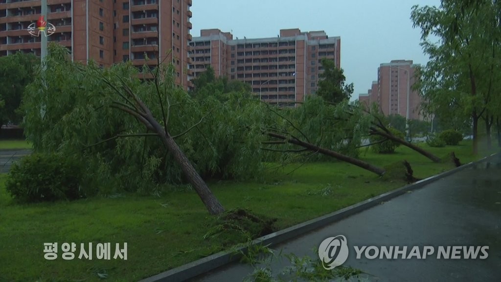 Trees are uprooted by heavy rain and strong winds in North Korea's capital city of Pyongyang, in this footage captured from Korean Central Television on June 26, 2022. (For Use Only in the Republic of Korea. No Redistribution) (Yonhap)