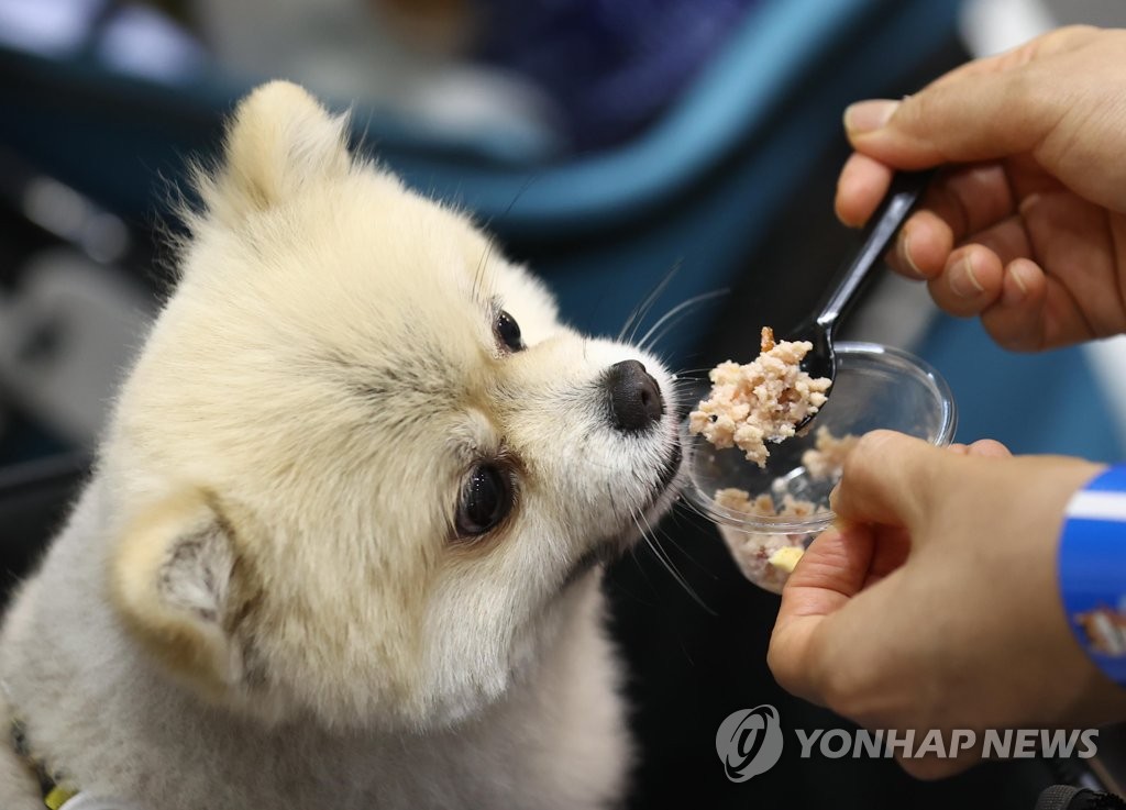 반려동물