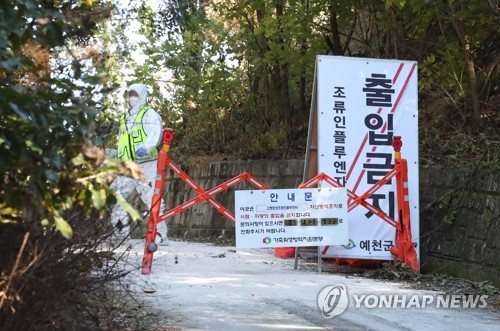 제주도, 15일부터 경북지역 가금산물 반입 허용