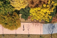황금빛 갈대밭·낙엽 덮인 등산로…전국 곳곳 나들이 행렬