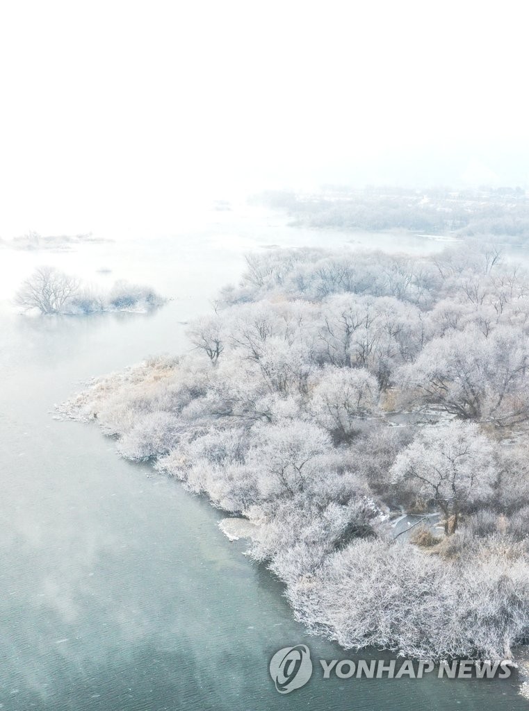Hoarfrost forms on river