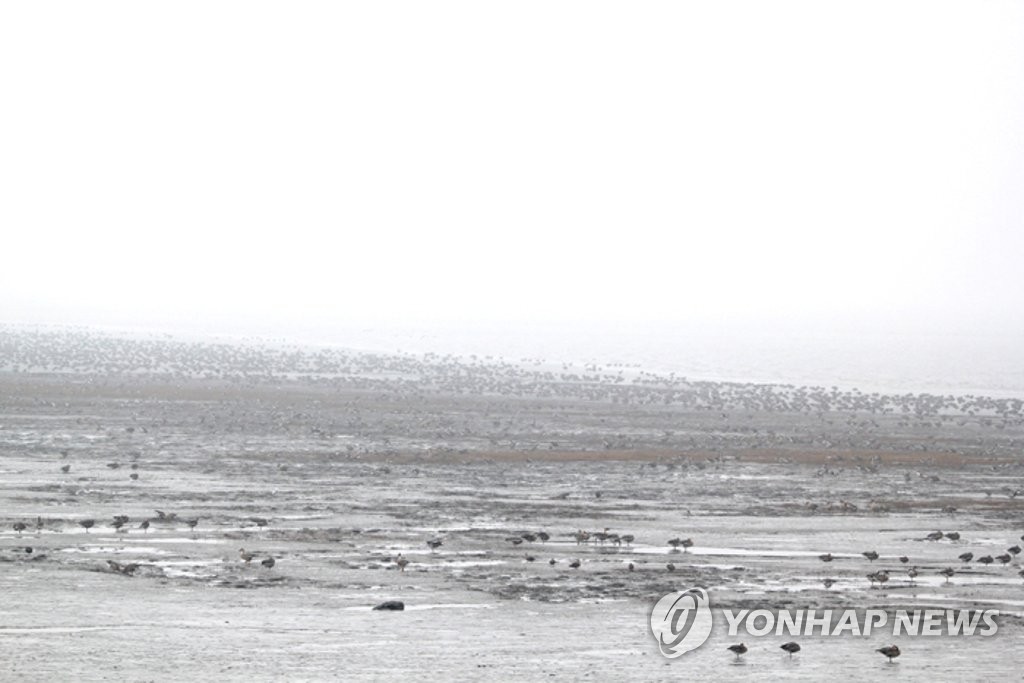 북한, 세계습지의 날 조명