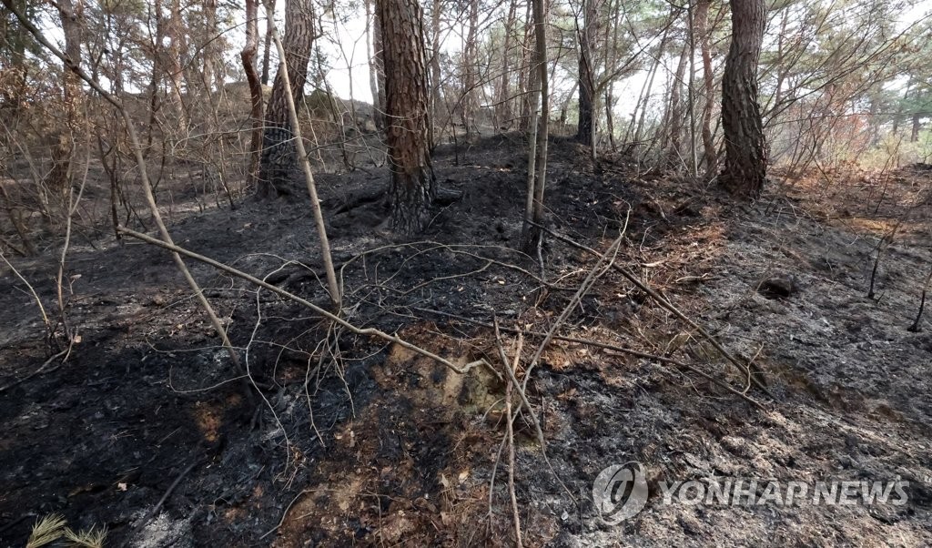 합천 산불
