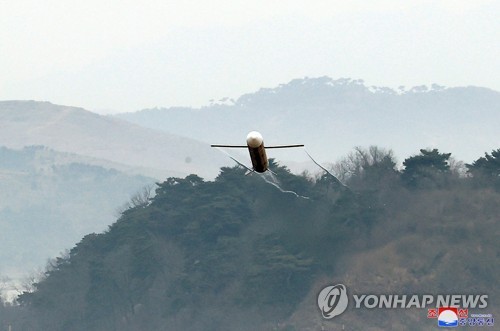N. Korea's strategic cruise missile drill
