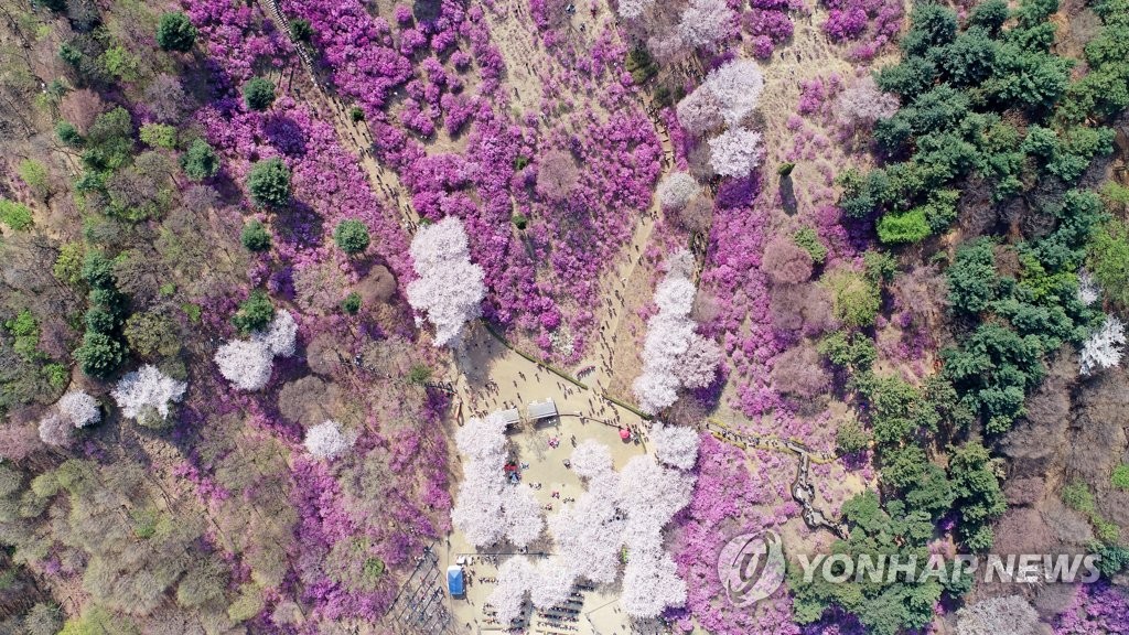 봄봄봄
