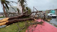 태풍에 발 묶였던 괌 여행객 돌아온다…괌 공항 29일 운영 재개(종합)