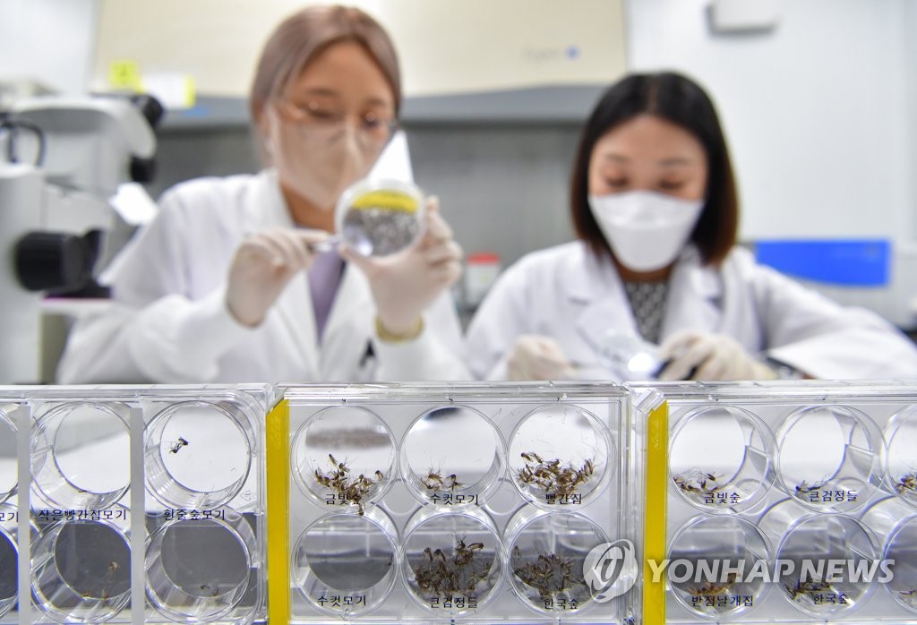 Se reportan más de 600 casos de malaria en Corea del Sur en lo que va del año