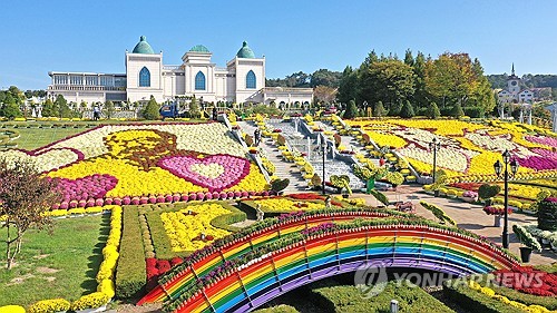 '알록달록 국화꽃 세상'으로 변신한 임실치즈테마공원