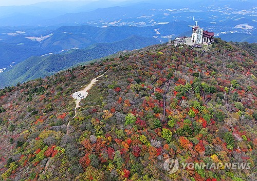 韓国北東部で紅葉進む