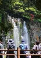 Waterfall on Jeju Island