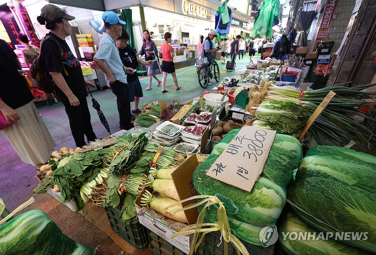 무서운 배추 가격