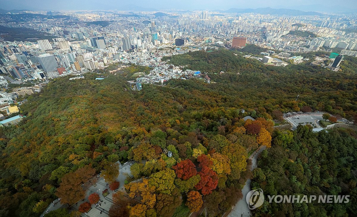 남산에 찾아든 가을