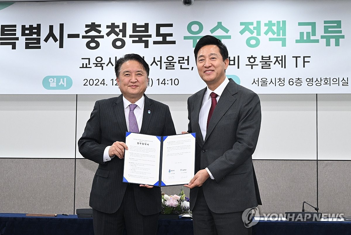 서울형 