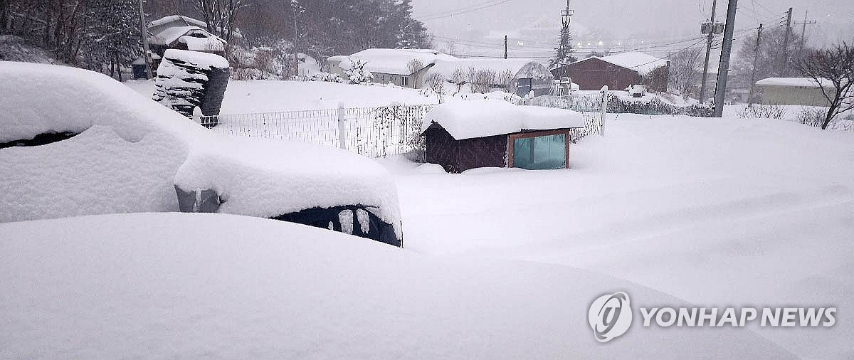 Una ciudad en el condado de Hoengseong, provincia de Gangwon, está cubierta de nieve el 28 de enero de 2025, en esta foto proporcionada por un lector. (Foto no a la venta) (Yonhap)