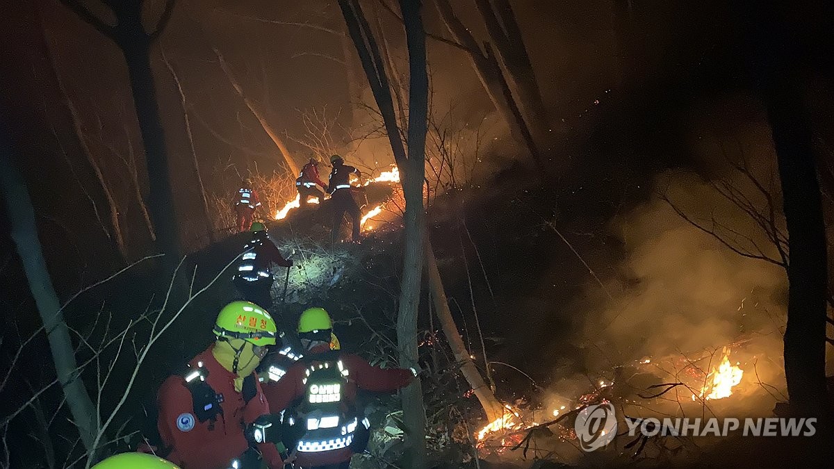 韓国で山火事が同時多発