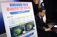 '왕성한 번식력' 갸냘픈 꽃사슴 인간의 손에 운명 곧 갈려