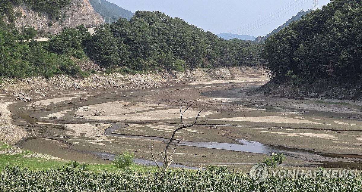 강원도, 가뭄 피해 최소화 안간힘…예비비 투입해 비상용…