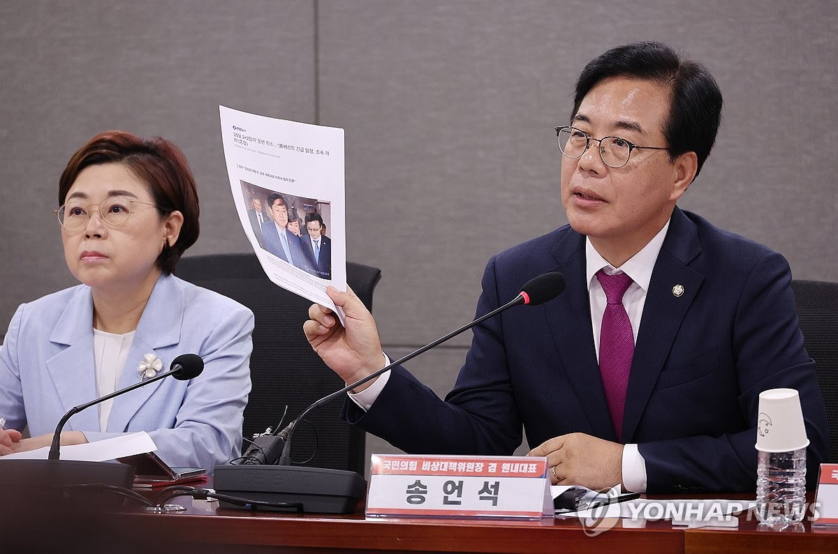국힘, 