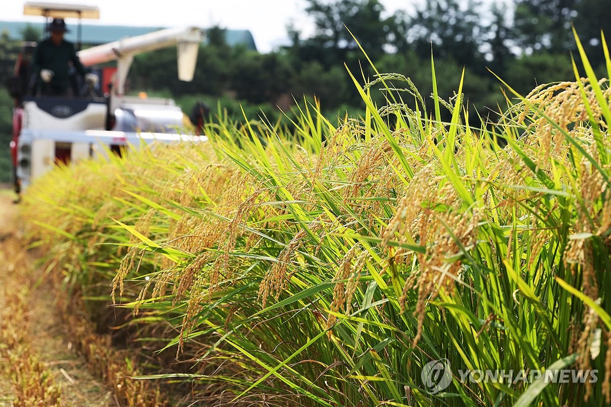 늦더위 기승에 올여름 최대 전력 수요 경신…96.0GW