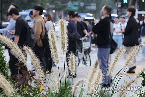 맑고 일교차 커…아침 내륙 중심 짙은 안개 유의