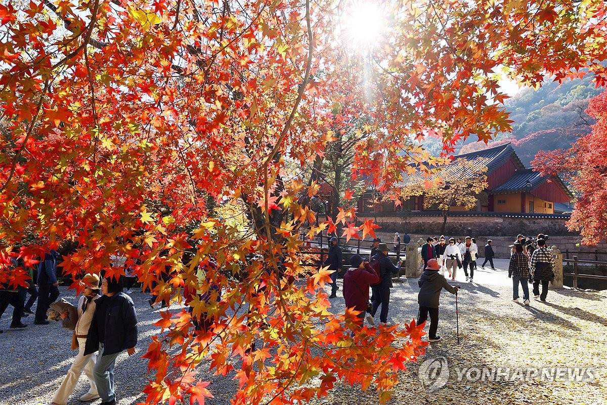 °¡À»»ö ¹°µç ¹é¾ç»ç