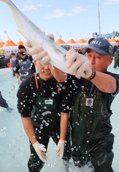 "겨울 바다 맛 보러오세요" 최남단 제주 방어축제 29일 개막